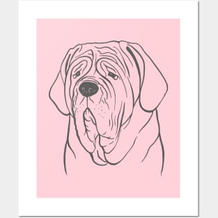 Neapolitan Mastiff (Pink and Gray) Posters and Art